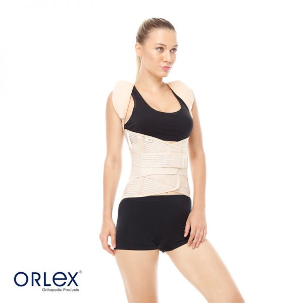 Orlex Standart Dorselomber Korse