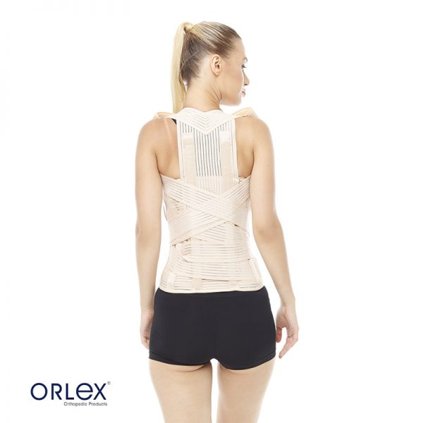 Orlex Dorselomber Korse